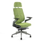 Office Pro