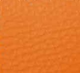 01013-P 3: koženka Dolaro P 3