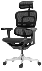 Ergonomická židle ERGOHUMAN 2 ULTRA BLACK