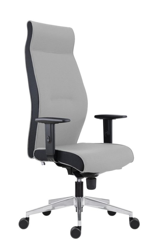 Zátěžové křeslo 1824 LEI + BR06