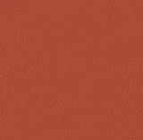 0104-107-6003: koženka VALENCIA nectarine 107-6003