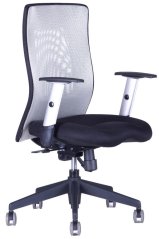 Kancelářská židle Calypso XL BP 12A11 (šedá)