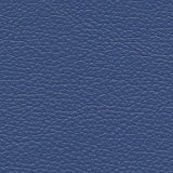 01010-Prince170: kůže Prince 170 (tmavě modrá)