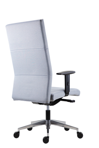 Zátěžová židle 8100 Vertika XXL + BR06