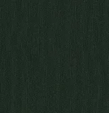 0104-122-5063: Zátěžový vinyl Silvertex 122-5063 FOREST