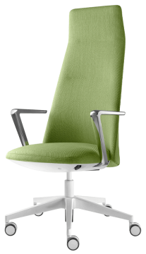 Melody Design - Područe - 01712-BR-796-N6: BR-796-N6 - područe (hliníkové-leštěné, PUR opěrka čal. kůží)