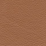 01010-Prince165: kůže Prince 165 (hnědá)
