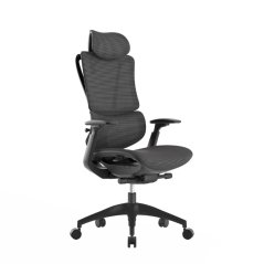 ergonomická židle Klem - předoboční pohled