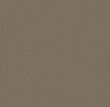 0104-107-4001: koženka VALENCIA mushroom 107-4001