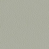 01010-Prince161: kůže Prince 161 (šedá)