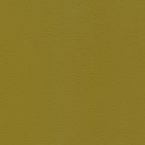 01012-M76236: koženka Magic M76236 (zelená)