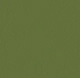 0104-107-5001: koženka VALENCIA olive 107-5001