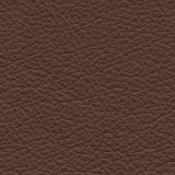 01010-Prince174: kůže Prince 174 (tm. hnědá)