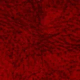 0104-AL-303: Potah ALCHIMIA 303