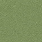 0104-BO22: koženka Bloom BO22 (zelená)