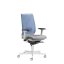 Ergonomická židle Leaf 504-SYS (mechanika s bočním nastavením, 5x blokace)