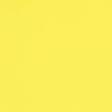 0104-BO19: koženka Bloom BO19