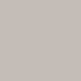 02512-PL-PANTONE-406C: Plast béžový (Pantone 406C)