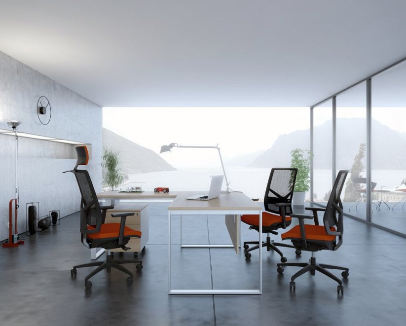 Židle 1850 SYN SL OMNIA PLAST