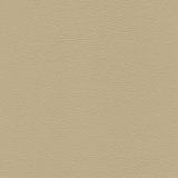 01012-M85352: koženka Magic M85352 (béžová)