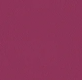 0104-107-2002: koženka VALENCIA berry 107-2002