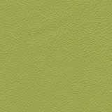 01010-Prince183: kůže Prince 183 (zelená)