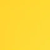 0104-BO18: koženka Bloom BO18