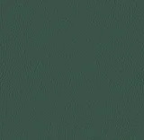 0104-107-5069: koženka VALENCIA grün 107-5069