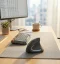 není nic lepšího jako kvalitní ergonomické doplňky - a vertikální ergonomická myš je jedním z nejdůležitějších