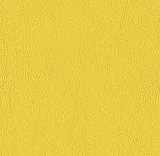 0104-107-2020: koženka VALENCIA sonne 107-2020