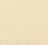 01013-BE 5: koženka Dolaro BE 5