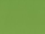 01013-MEDITAP-6248: koženka Meditap 6248