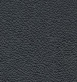 01012-P100: kůže Leather P100 (černá)