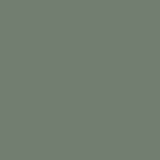 02512-PL-PANTONE-17-6212: Plast šalvějově zelený (Pantone 17-6212)