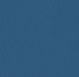 0104-107-3069: koženka VALENCIA baltic 107-3069