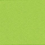 01012-E156: potah Xtreme E156 (sv. zelený)