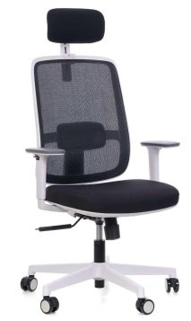 Zvažujete nákup ergonomické židle, která vám poskytne potřebný komfort a podporu, ale nechcete utrácet zbytečně velké částky?
