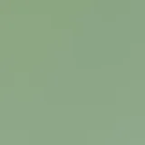 0104-MEDITAP-6156: koženka Meditap 6156