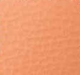 01013-P 1: koženka Dolaro P 1