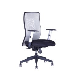 Kancelářská židle Calypso XL BP 12A11 (šedá)