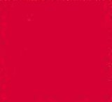 01013-CE 1: koženka Dolaro CE 1