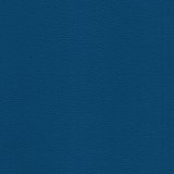 01012-M68746: koženka Magic M68746 (modrá)