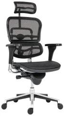 Ergonomická židle ERGOHUMAN MESH black