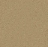 0104-107-1001: koženka VALENCIA champagne 107-1001