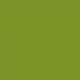 02512-PL-PANTONE-391C: Plast zelený (Pantone 391C)
