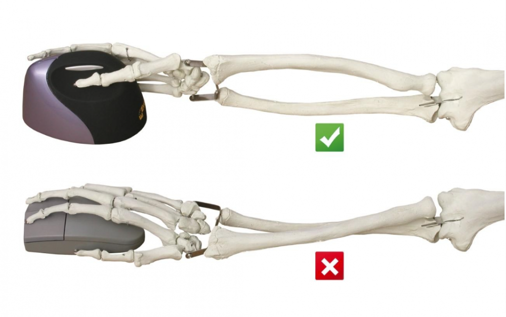 Vertikální myš vs klasická myš – ergonomie zápěstí a postavení kostí